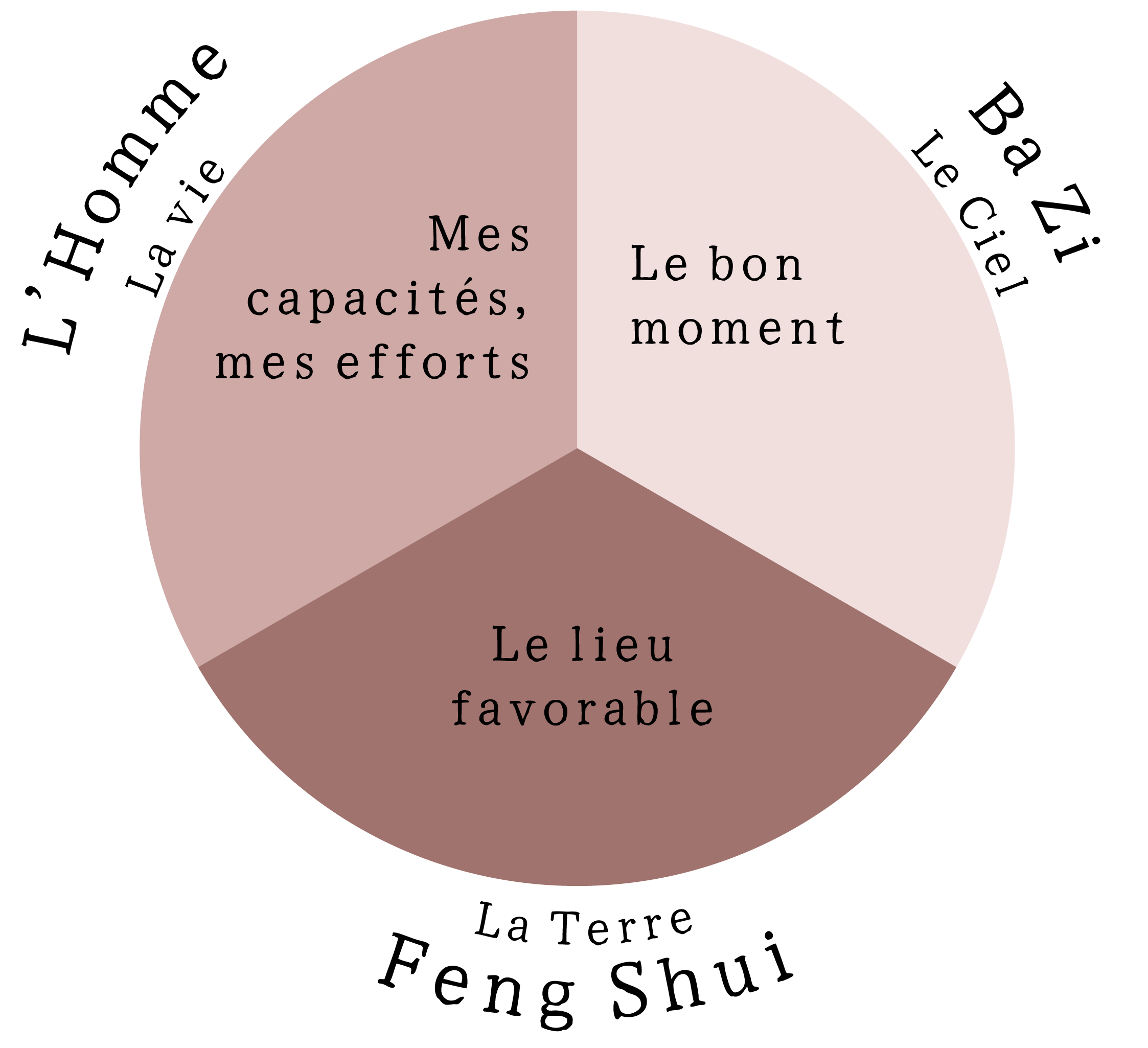 ES_GRAPHIQUE